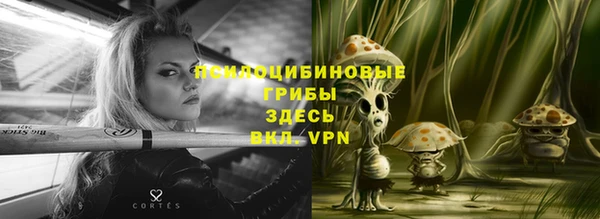 ешки Алексин