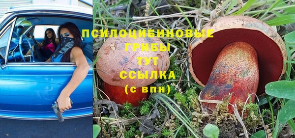 бутират Алзамай